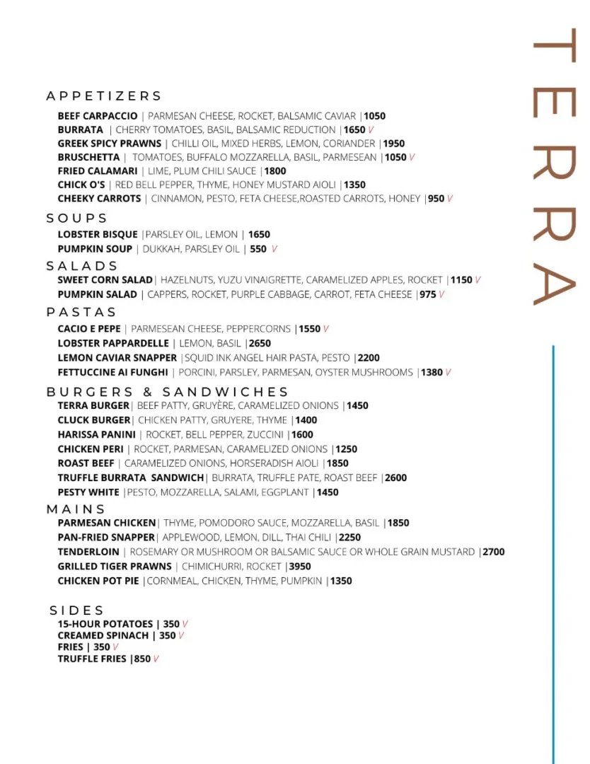 The first page of Terra's Menu