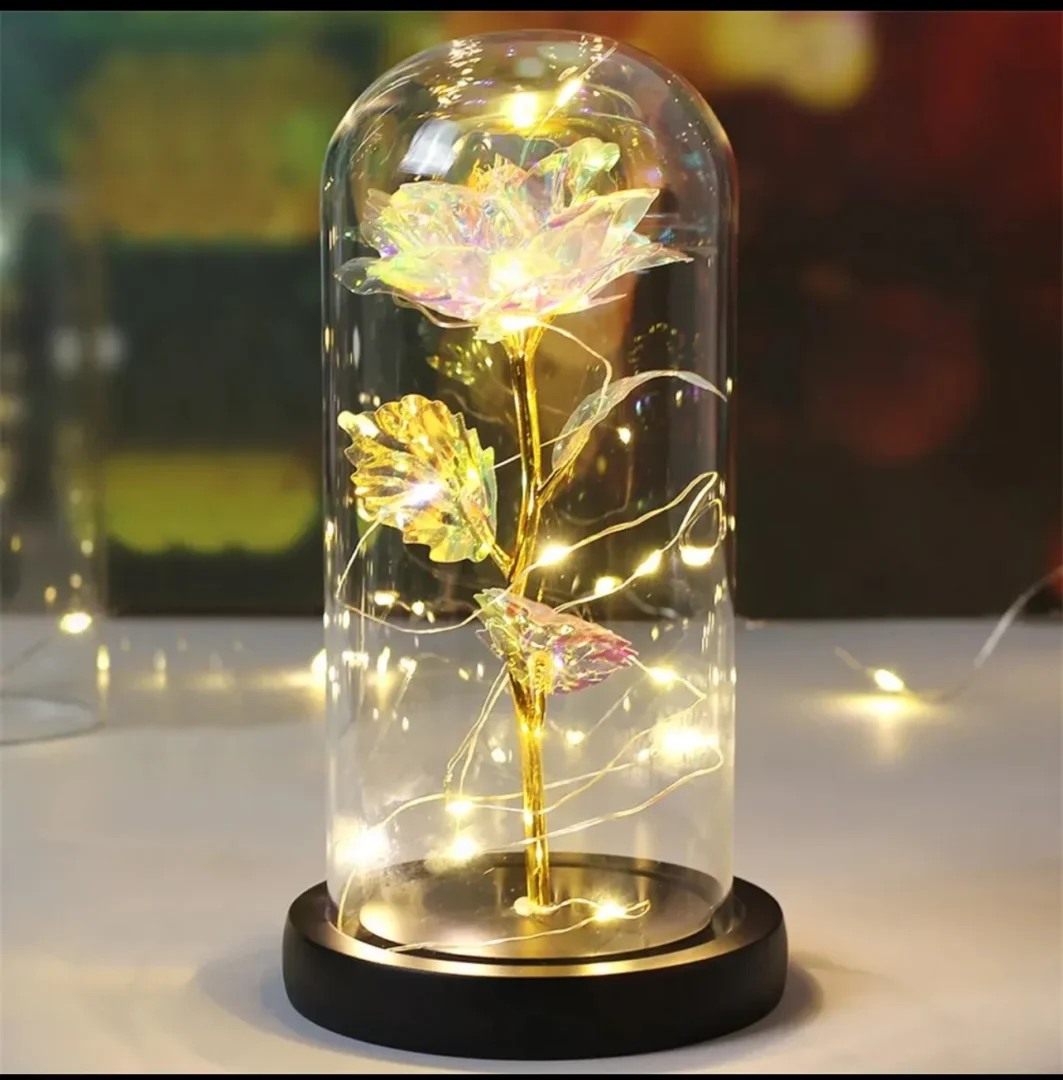 Flower in a Glass Dome with Lights